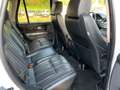 Land Rover Range Rover Sport 3.0 td F1 V6 HSE  MOTORE NUOVO Blanco - thumbnail 22