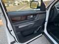 Land Rover Range Rover Sport 3.0 td F1 V6 HSE  MOTORE NUOVO Bianco - thumbnail 11