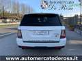 Land Rover Range Rover Sport 3.0 td F1 V6 HSE  MOTORE NUOVO Blanco - thumbnail 7