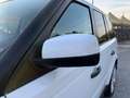 Land Rover Range Rover Sport 3.0 td F1 V6 HSE  MOTORE NUOVO Blanco - thumbnail 29
