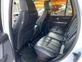 Land Rover Range Rover Sport 3.0 td F1 V6 HSE  MOTORE NUOVO Blanco - thumbnail 15