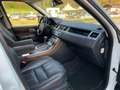 Land Rover Range Rover Sport 3.0 td F1 V6 HSE  MOTORE NUOVO Blanco - thumbnail 24