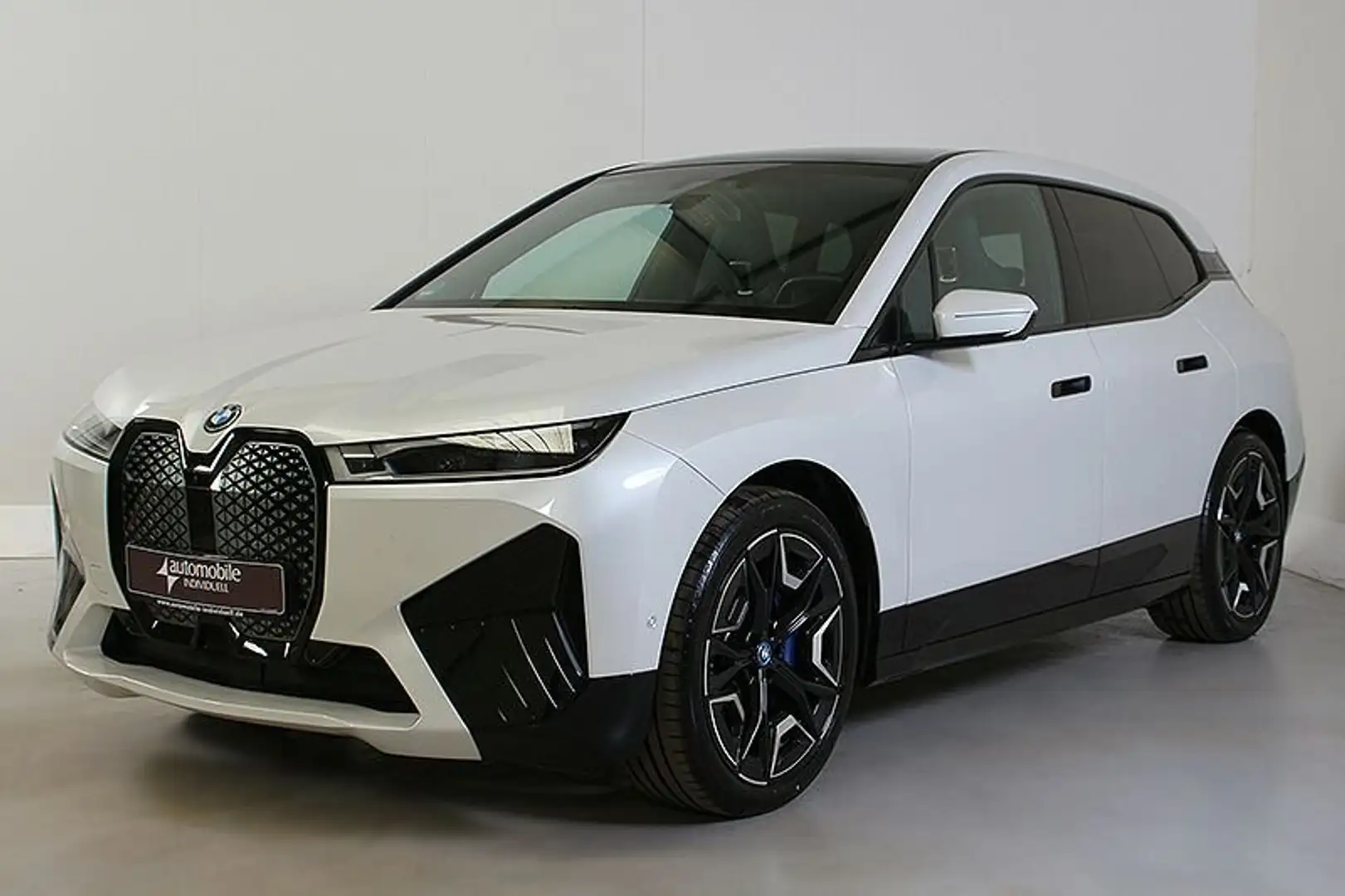 BMW iX xDr. 50 Sport lLaser ACC Panor AHK H&K 22Zoll Белый - 2