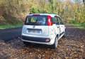 Fiat Panda Panda 1.2 8V 69 ch K-Way Blanc - thumbnail 5