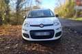 Fiat Panda Panda 1.2 8V 69 ch K-Way Blanc - thumbnail 8