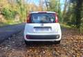 Fiat Panda Panda 1.2 8V 69 ch K-Way Blanc - thumbnail 4