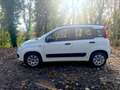 Fiat Panda Panda 1.2 8V 69 ch K-Way Blanc - thumbnail 2