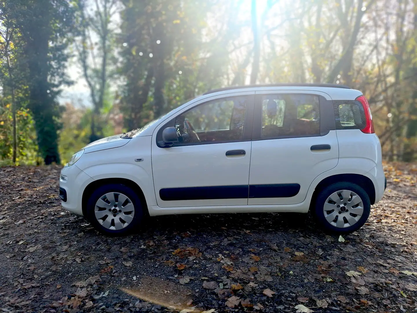 Fiat Panda Panda 1.2 8V 69 ch K-Way Blanc - 2