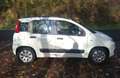 Fiat Panda Panda 1.2 8V 69 ch K-Way Blanc - thumbnail 6