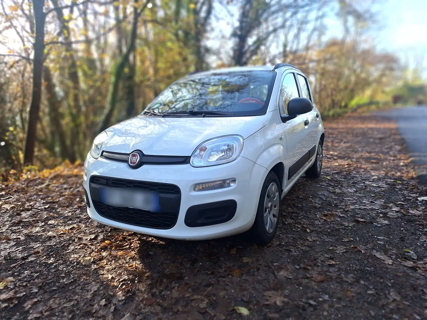 Fiat Panda Panda 1.2 8V 69 ch K-Way Blanc - 1
