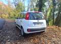 Fiat Panda Panda 1.2 8V 69 ch K-Way Blanc - thumbnail 3