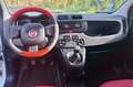 Fiat Panda Panda 1.2 8V 69 ch K-Way Blanc - thumbnail 10