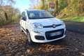 Fiat Panda Panda 1.2 8V 69 ch K-Way Blanc - thumbnail 7