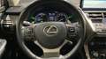 Lexus NX 300 300h Executive Kick Power+ Navigation 4WD - thumbnail 10