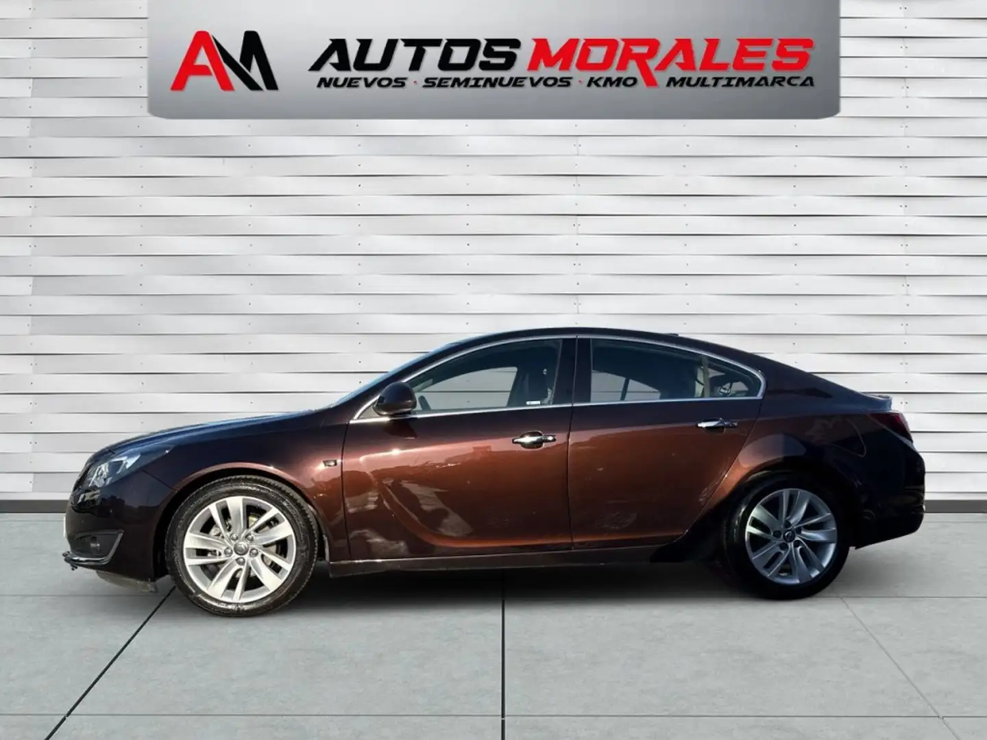 Opel Insignia 1.6CDTI ecoF. S&S Excellence 136 Burdeos - 2
