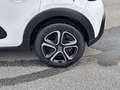 Citroen C3 PureTech 110 S&S Shine Bianco - thumbnail 7