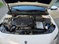 Mercedes-Benz CLA 220 CLA 220 d Shooting Brake Aut. Weiß - thumbnail 15