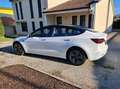 Tesla Model 3 Model 3 Long Range Dual Motor AWD - IVA ESPOSTA Bianco - thumbnail 2
