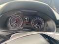 Skoda Kamiq 1.0 TSI 110 CV DSG Ambition Blu/Azzurro - thumbnail 10