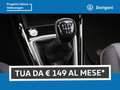 Volkswagen T-Cross 1.0 tsi edition plus 115cv Bleu - thumbnail 12