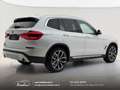 BMW X3 xdrive20d 48V xLine LED-Telecamera-CarPlay-20'' Bianco - thumbnail 3