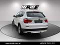 BMW X3 xDrive 20d *Erstbesitz*Head-Up*Anhängerk* Weiß - thumbnail 8