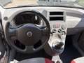Fiat Panda 1.2 Climbing 4x4 FRIZIONE NUOVA, GARANZIA - thumbnail 8