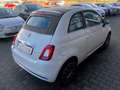 Fiat 500C MY22 1.0 GSE PIÙ DOLCEVITA Limited Edition Wit - thumbnail 3