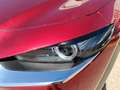 Mazda CX-30 Zenith 2WD Rojo - thumbnail 22
