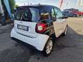 smart forTwo Fortwo 1.0 Youngster 71cv twinamic my18 Bianco - thumbnail 6