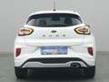 Ford Puma ST-Line 125PS/Komfort&Winter-Paket/LED Weiß - thumbnail 7
