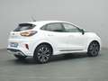 Ford Puma ST-Line 125PS/Komfort&Winter-Paket/LED Weiß - thumbnail 21