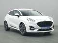 Ford Puma ST-Line 125PS/Komfort&Winter-Paket/LED Weiß - thumbnail 24