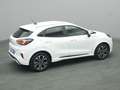 Ford Puma ST-Line 125PS/Komfort&Winter-Paket/LED Weiß - thumbnail 34