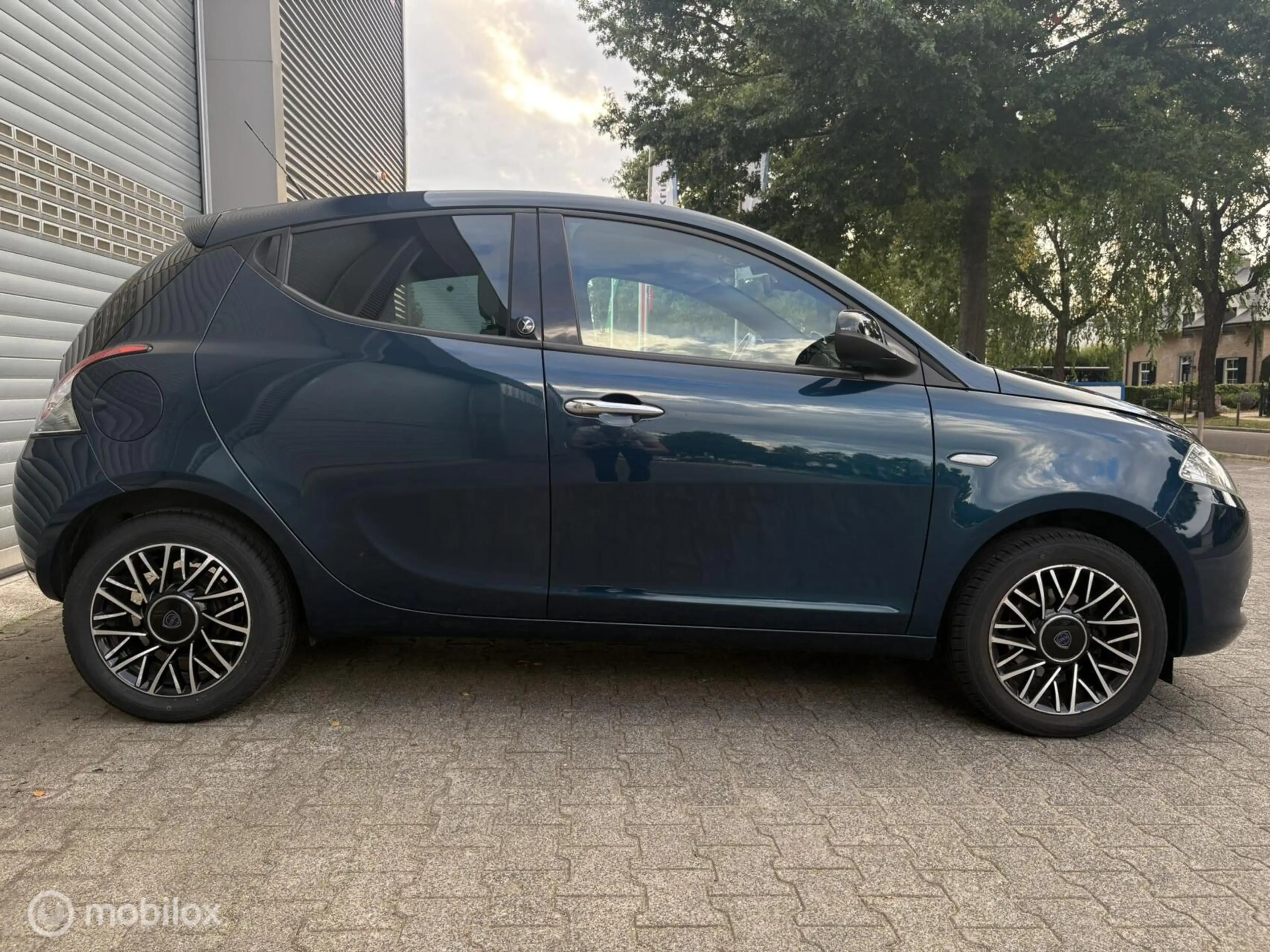 Lancia Ypsilon 0.9 TwinAir Platinum — photo 8