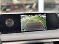 Lexus UX 250h First Edition | Navigatie, Parkeersensoren, 17 inc Wit - thumbnail 18