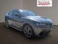 Alfa Romeo Stelvio 2,2 16V 210 AT8 Ti Q4 Grau - thumbnail 19