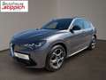Alfa Romeo Stelvio 2,2 16V 210 AT8 Ti Q4 Grau - thumbnail 2