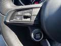 Alfa Romeo Stelvio 2,2 16V 210 AT8 Ti Q4 Grau - thumbnail 30