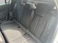 Lancia Ypsilon Ypsilon 1.2 mhev e-dct Blanc - thumbnail 14