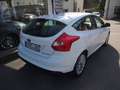Ford Focus Electric mit einer Reichweite von ca 100km Weiß - thumbnail 4