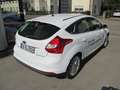 Ford Focus Electric mit einer Reichweite von ca 100km Blanco - thumbnail 5
