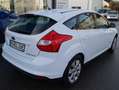 Ford Focus Electric mit einer Reichweite von ca 100km Blanc - thumbnail 5