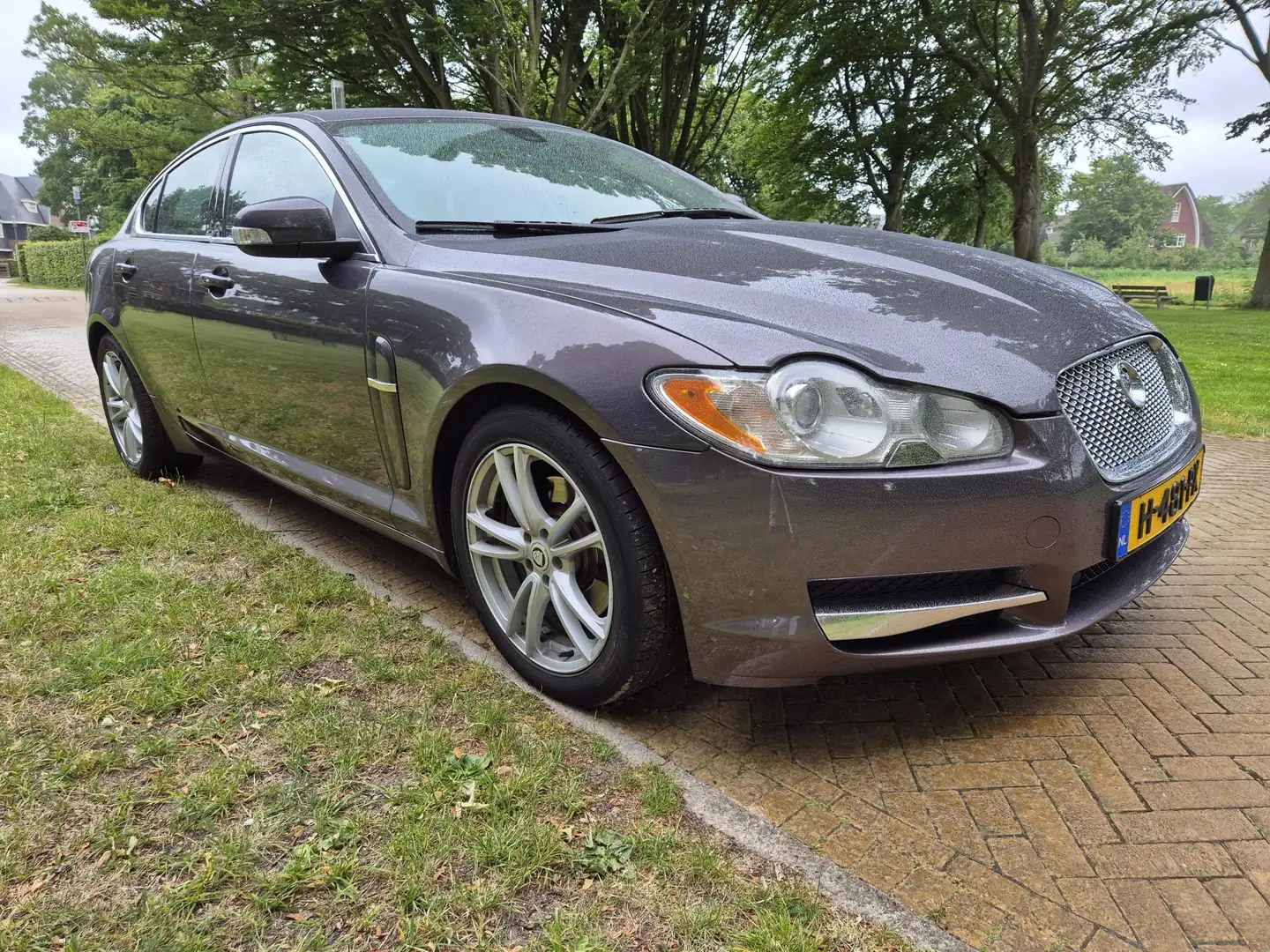 Jaguar XF XF 3.0 V6 Luxury kleur Pearl Gray Grijs - 1