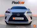 Lexus NX 300 300h Business 2WD Bílá - thumbnail 2