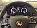 Skoda Karoq Ambition*1.Hand*S-Heft*Bluetooth*AHK*PDC* Grau - thumbnail 12