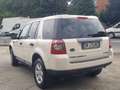 Land Rover Freelander 2.2 td4 SE - thumbnail 6