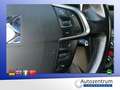 Citroen DS4 SportChic *LEDER*XENON*NAVI* Weiß - thumbnail 17