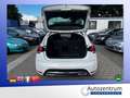 Citroen DS4 SportChic *LEDER*XENON*NAVI* Weiß - thumbnail 18