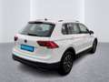 Volkswagen Tiguan Life 2.0 TDI DSG Matrix-LED Massagesitz Weiß - thumbnail 5